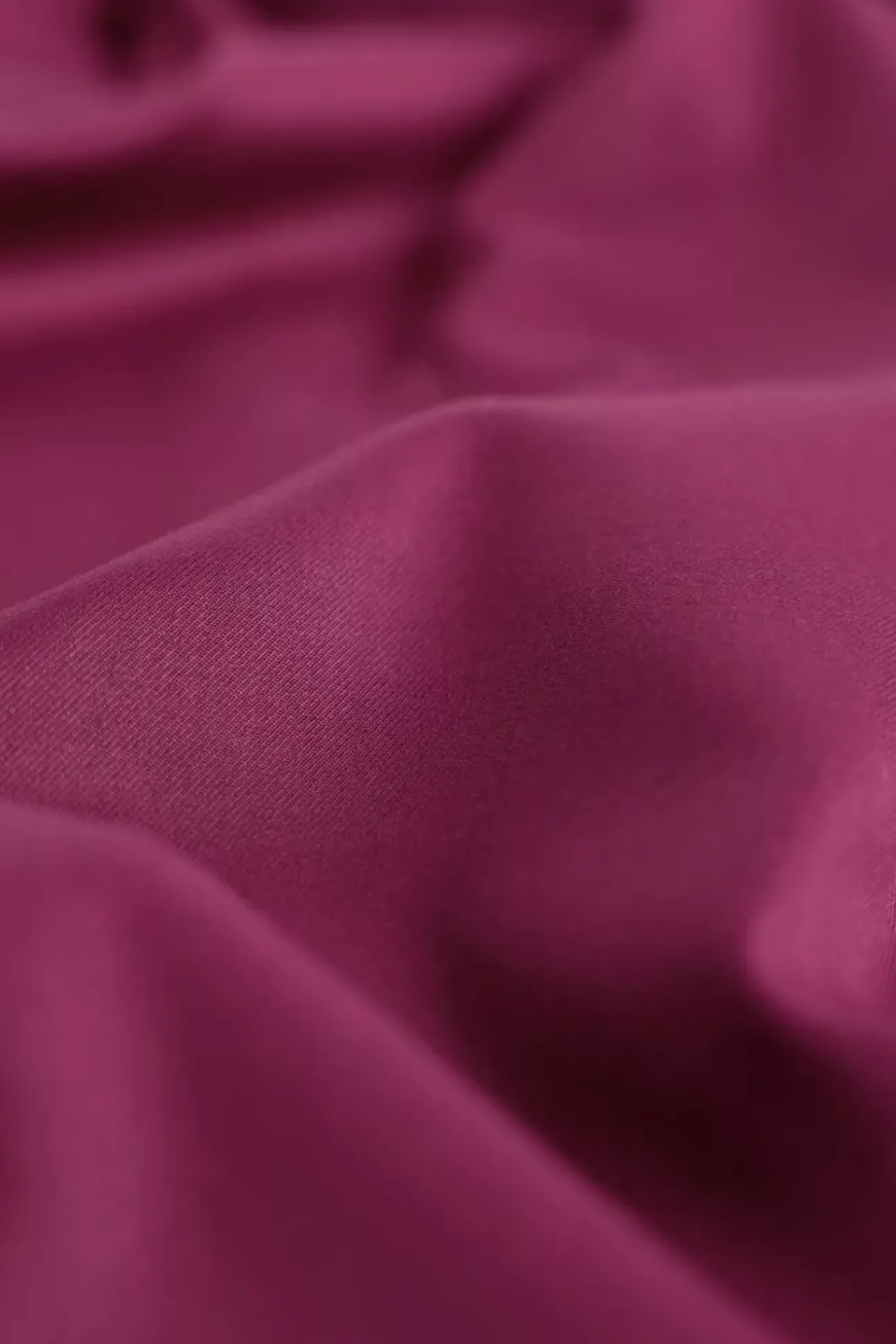 JANICE Jurken^Jurk Riem Chicago Burgundy