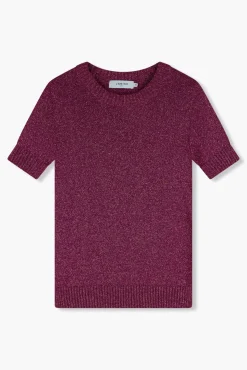 JANICE Sweaters & Truien^Truitje Dames Lurex Tyson Burgundy