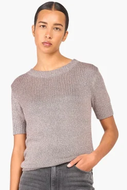 JANICE Sweaters & Truien^Truitje Dames Lurex Tyson Zilver