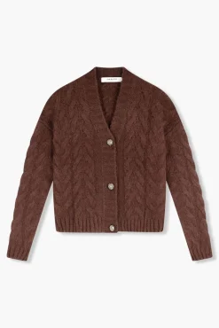 JANICE Sweaters & Truien^Wollen Vest Gebreid Brooklyn Bruin