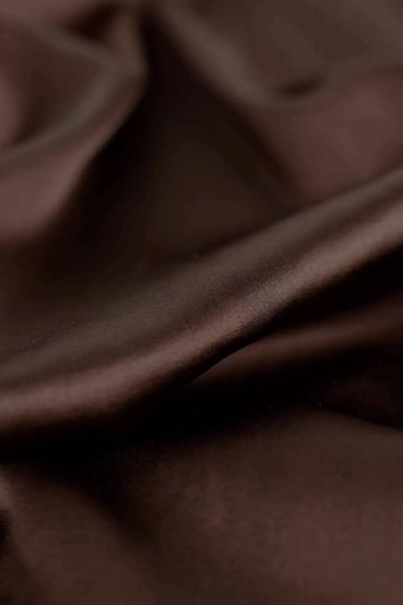JANICE Blouses^Zijden Blouse Dames Bobby Bruin